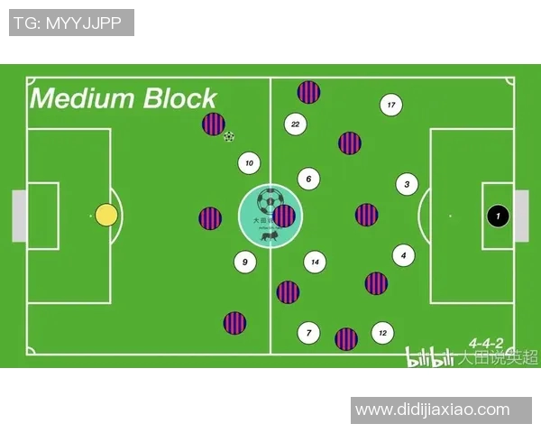 武汉排球队区域防守体系解析与战术应用探讨