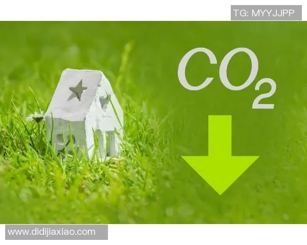 电动车足球明星引领绿色出行新风尚助力环保与运动的完美结合