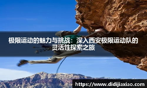 bellbet贝博官网