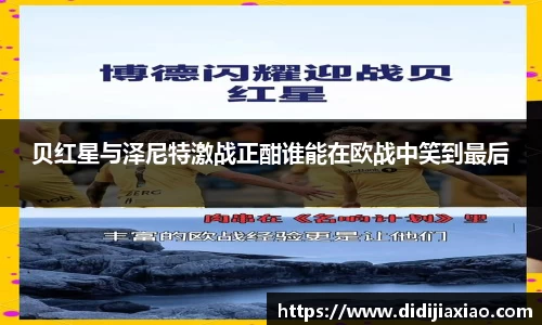bellbet贝博官网
