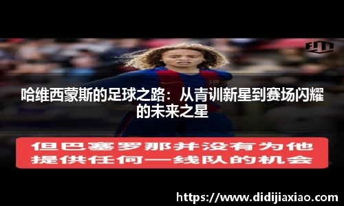k1体育网页版